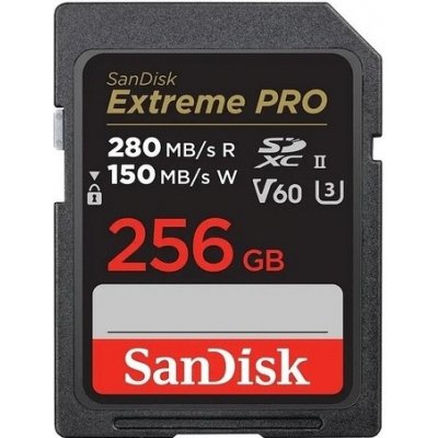 SanDisk SDXC 256GB 15493