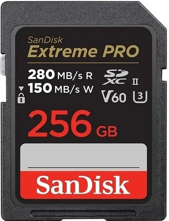 SanDisk SDXC 256GB 15493