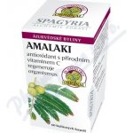 Organic India Amalaki antioxidant s přírodním vitaminem C 60 kapslí – Hledejceny.cz