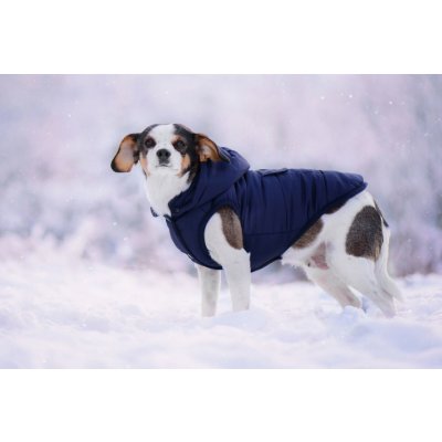 Vsepropejska Fala zimní bunda s kapucí pro psa – Zboží Mobilmania