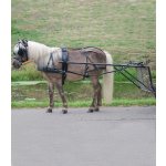 Poprsní postroj STAR Economic - Pony a Shetty černá MSH (Mini Shetty) – Zboží Mobilmania