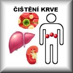 Jukl bylinná směs ČIŠTĚNÍ KRVE 100 g – Zboží Dáma Jukl bylinná směs ČIŠTĚNÍ KRVE 100 g – Zboží Dáma