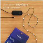 Twinkly TWKP100RGB-T LED RGB Stmívatelný vánoční řetěz 100xLED 8 m USB Wi-Fi TW0050 – Hledejceny.cz