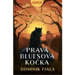 Pravá bluesová kočka – Sleviste.cz