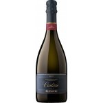 Ruggeri Superiore di Cartizze Brut 11,5% 0,75 l (holá láhev) – Zboží Dáma