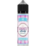 Dinner Lady Ice Bubblegum Ice Shake & Vape 10 ml – Sleviste.cz