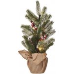 Emos LED vánoční stromek zasněžený 52 cm DCTW04 – Hledejceny.cz
