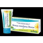 ARNICA MONTANA BOIRON GEL 1X45G I – Hledejceny.cz