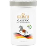 Equine74 Gastric Přírodní směs proti žaludečním vředům prášek 2 kg – Zboží Dáma
