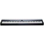 Kurzweil Ka P1 – Hledejceny.cz