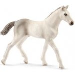 Schleich 13860 Holfštýnský kůň hříbě – Hledejceny.cz