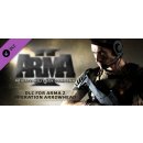 Hra na PC ArmA 2: Private Military Company