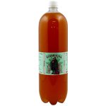 Stevikom Kombucha Green Tea 2 l – Sleviste.cz