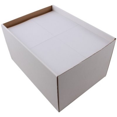 Rayfilm R0555.0922A stříbrné PET laser etikety 105x148mm 100 listů – Zboží Dáma