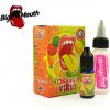 Příchuť pro míchání e-liquidu Big Mouth Classical Orange Virus 10 ml