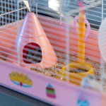 Ferplast Criceti 9 Princess Klec pro křečky White 46 x 29,5 x 23 cm – Hledejceny.cz