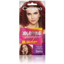 Delia Cameleo No1 barevný šampon 66.56 wild plum 40 ml