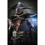 Injustice 2 - Raiden – Hledejceny.cz