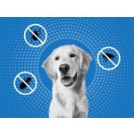Frontline Spot-On Dog M 10-20 kg 1 x 1,34 ml – HobbyKompas.cz