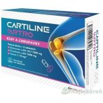 Cartiline Artro glukosamin a chondroitin 60 tablet – Hledejceny.cz