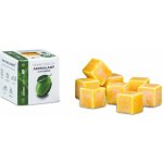 Rentex Vosk vonný kostičky Litsea Cubeba 8 ks 30 g – Zboží Dáma