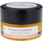 Anela mast pro kojící maminky Ochráním bradavky 5 ml – Zbozi.Blesk.cz