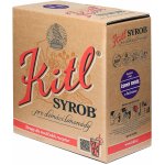 Kitl Syrob Černý rybíz 5 l – Zboží Mobilmania