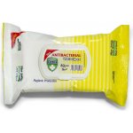 Fresh Detox Ubrousky antibakteriální 80 ks - žluté – Hledejceny.cz