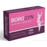 Borogyn vaginální čípky 10 x 2 g – Sleviste.cz