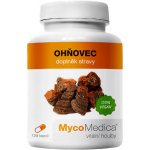 MycoMedica Ohňovec Phellinus linteus 90 kapslí – Hledejceny.cz