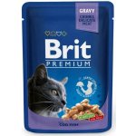 Brit Premium Cat Beef Stew & Peas 100 g – Sleviste.cz