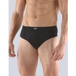 Gina pánské slipy se širším bokem širší bok šité jednobarevné 71080P černá – Zboží Dáma