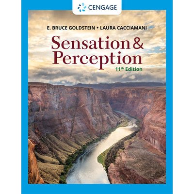 Sensation and Perception