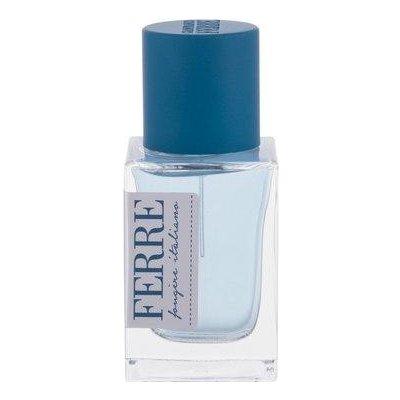 Gianfranco Ferré Ferre Fougere Italiano for Men toaletní voda pánská 30 ml – Hledejceny.cz