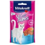 Vitakraft Yums losos 40 g – Zbozi.Blesk.cz