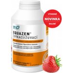 Equazen 360 tablet – Zboží Dáma