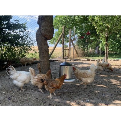 Contro Fratelli CF013.01MS krmítko 5 kg – Zbozi.Blesk.cz