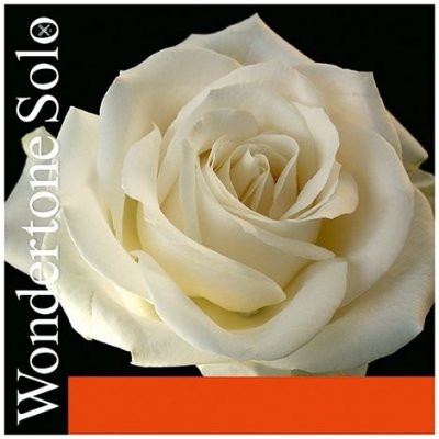 Pirastro WONDERTONE 315221 – Sleviste.cz