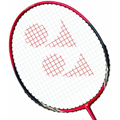 Yonex Carbonex 6000