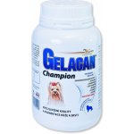 Orling - Gelacan Champion psi barevná plemena 150 g – Hledejceny.cz