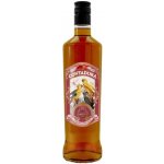 Contadora SPICED 35% 0,7 l (holá láhev) – Zboží Dáma