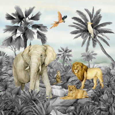 Dekorační polštář Jungle CND3147 | 40 x 40 cm – Hledejceny.cz