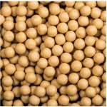 LK Baits Jeseter Special Boilies Cheese 1kg 18mm – Zbozi.Blesk.cz