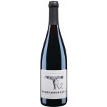 Weingut Fridrich Becker Rulandské modré červené 2017 13% 0,75 l (holá láhev) – Hledejceny.cz