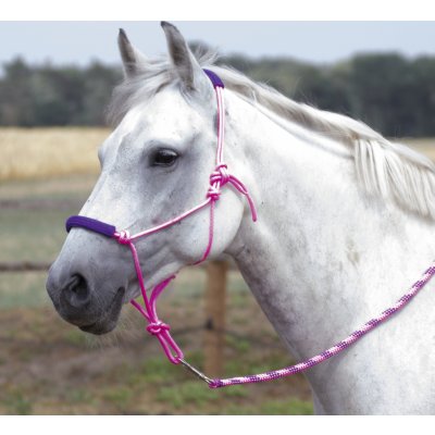 Busse Ohlávka provazová a vodítko TWO TONE Růžová – Zboží Dáma