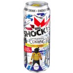 BigShock! Winter Edition is Coming 0,5 l – Hledejceny.cz