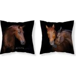 Detexpol Koně Live 40 x 40 cm – Sleviste.cz