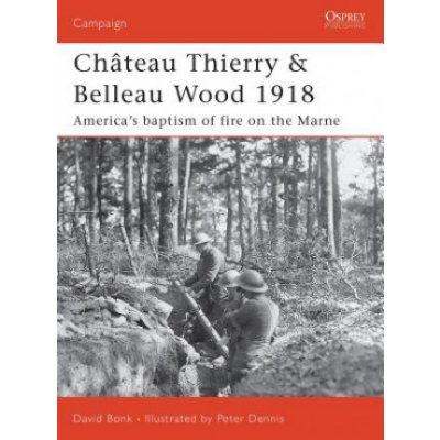 Chateau Thierry and Belleau Wood 1918