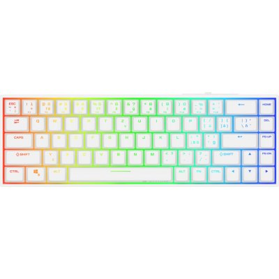 Rapture CHARLIE V2 CZ/SK RPT-GK65GRD03W – Sleviste.cz