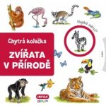 Zvířata v přírodě - Chytrá kolečka – Hledejceny.cz